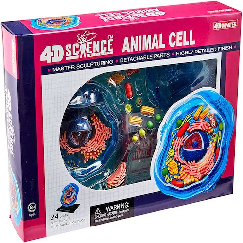 4D Animal Cell Science Kit