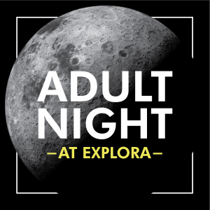 Adult Night Graphic of Moon