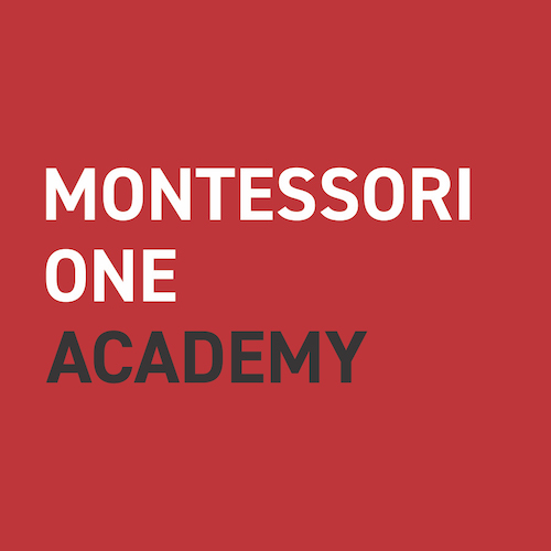 Montessori One Academy logo