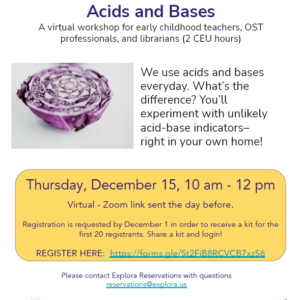 Acids and Bases workshop flyer
