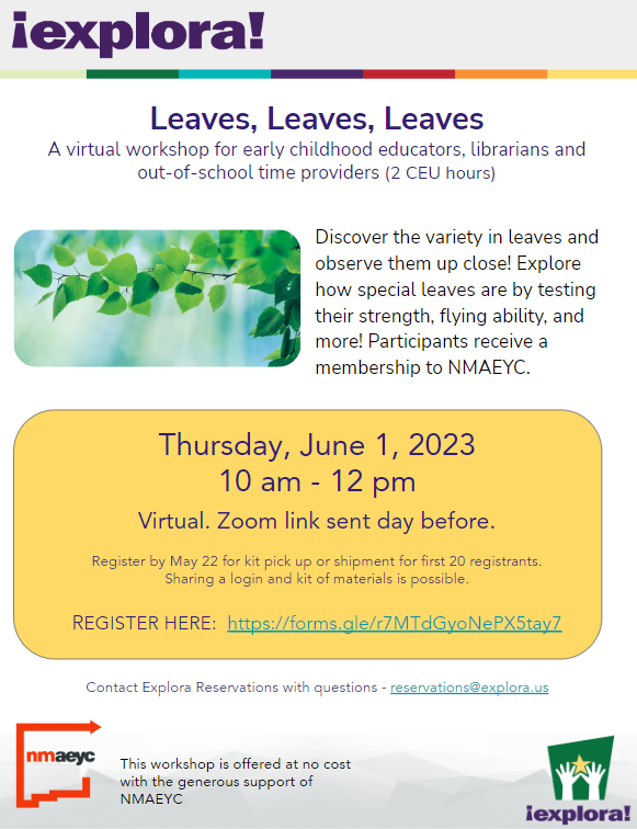 Leaves, Leaves, Leaves virtual workshop flyer