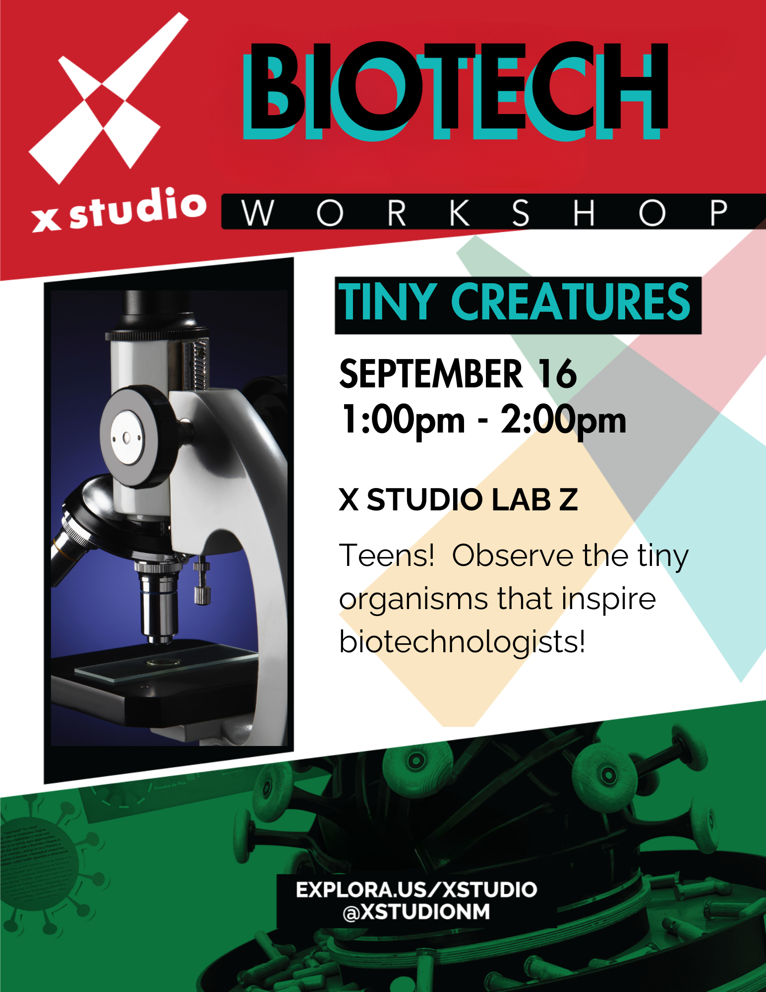 Biotech tiny creatures workshop